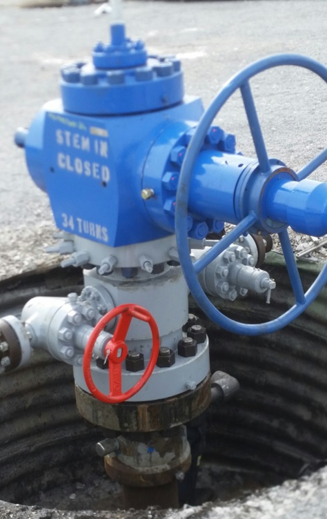 Wellhead Installation Support