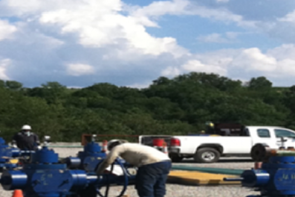 Wellhead Inspection Support