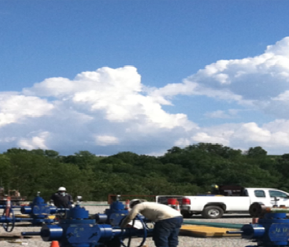 Wellhead Inspection Support